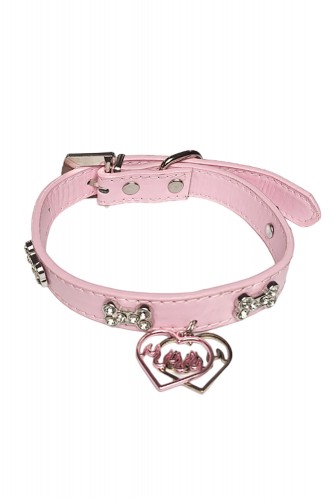 Your Puppy Choker with...